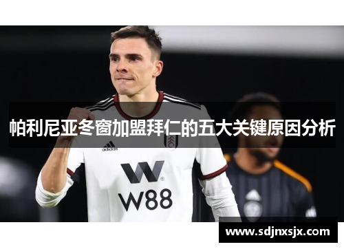 帕利尼亚冬窗加盟拜仁的五大关键原因分析
