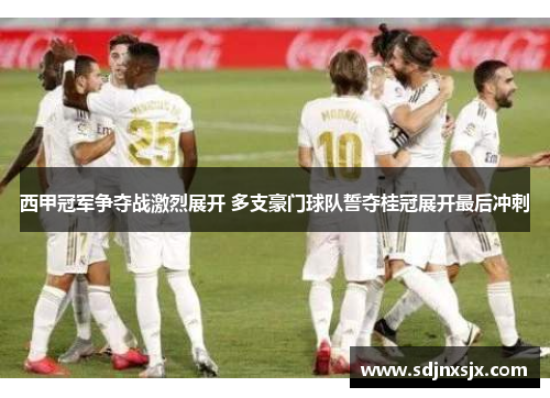 西甲冠军争夺战激烈展开 多支豪门球队誓夺桂冠展开最后冲刺