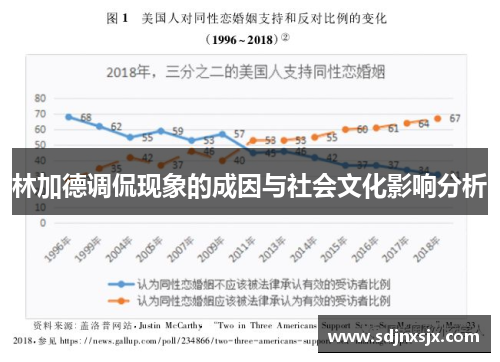 林加德调侃现象的成因与社会文化影响分析