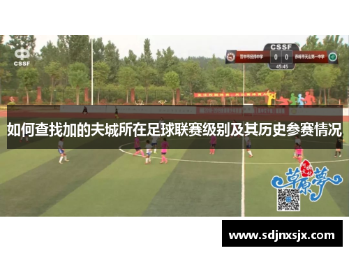 如何查找加的夫城所在足球联赛级别及其历史参赛情况