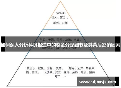 如何深入分析科贝报道中的奖金分配细节及其背后影响因素