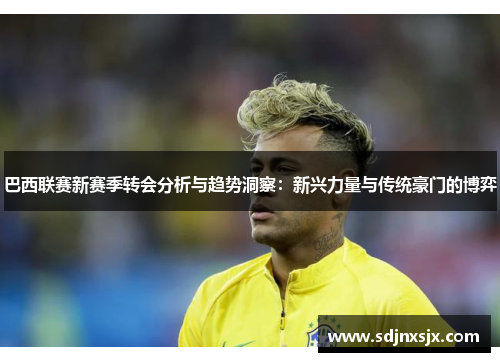 巴西联赛新赛季转会分析与趋势洞察：新兴力量与传统豪门的博弈