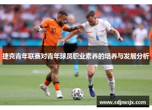 捷克青年联赛对青年球员职业素养的培养与发展分析 捷克青年联赛对青年球员职业素养的培养与发展分析