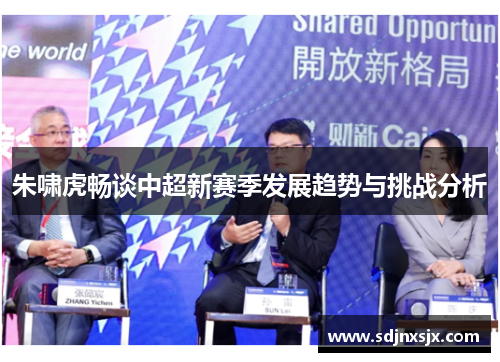朱啸虎畅谈中超新赛季发展趋势与挑战分析